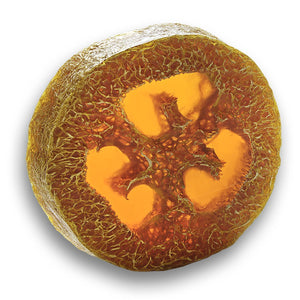 Aromatherapy Foot Loofa Soap Sweet Orange