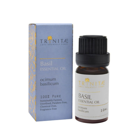 Basil Essential Oil Ocimum basilicum