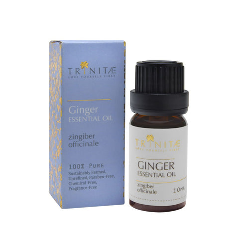 Ginger Essential Oil zingiber officinale